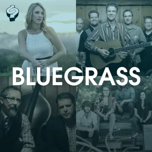 Amanda Cook, Chris Jones, Night Drivers, The Barefoot Movement, playlist, Syntax Creative - image