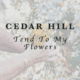 Cedar Hill, bluegrass, mandolin, fiddle, Mountain Fever Records, Syntax Creative - image