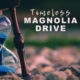 Magnolia Drive, bluegrass, Acoustic, Mountain Fever Records, Syntax Creative - image