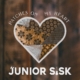 Junior Sisk, bluegrass, acoustic, Mountain Fever Records, Syntax Creative - image