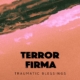 Terror Firma, electronic, beats, lo-fi, Illect Recordings, Syntax Creative - image