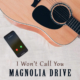 Magnolia Drive, bluegrass, Mountain Fever Records, Syntax Creative - image
